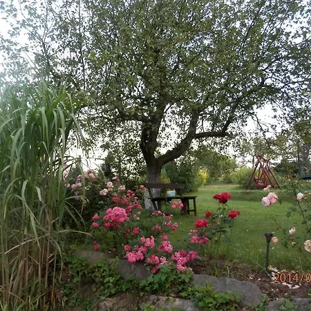 Kır Evi Zagroda Agroturystyczna Wiecha *