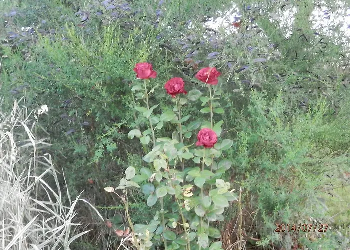 Летний дом Zagroda Agroturystyczna Wiecha *